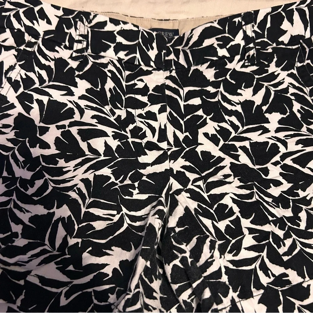 J. Crew Shorts - Picture 5 of 9